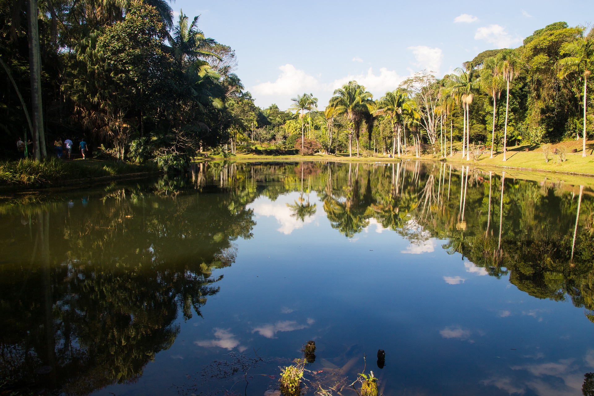 tour amazzonia colombia